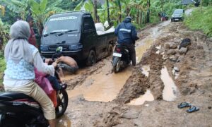 Sejumlah kendaraan, termasuk mobil pengangkut benih padi milik warga, terjebak di ruas jalan kabupaten yang menghubungkan Desa Sirnagalih, Kecamatan Sindangbarang, dengan Desa Panyindangan, Kecamatan Cibinong,