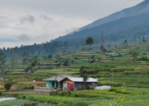 PLTP Jawa Barat Gaspol, Alam Tetap Aman: Kepala Balai TNGGP Tegaskan Konservasi Jadi Prioritas