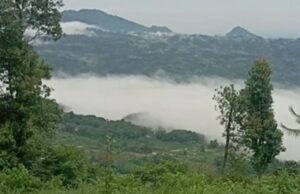 Viral Wisata Negeri di Atas Awan, Camping Ground Puncaksimun Cianjur Diserbu Wisatawan