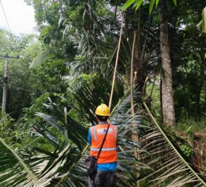 Cuaca Ekstrem, Tiang Listrik Roboh PLN Tanggeung Gerak Cepat Atasi Gangguan