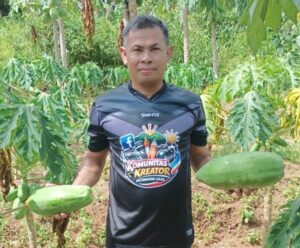Perantau Sukses di Cianjur: Ali Agus Panen 6 Ton Pepaya, Bukti Pertanian Masih Menjanjikan
